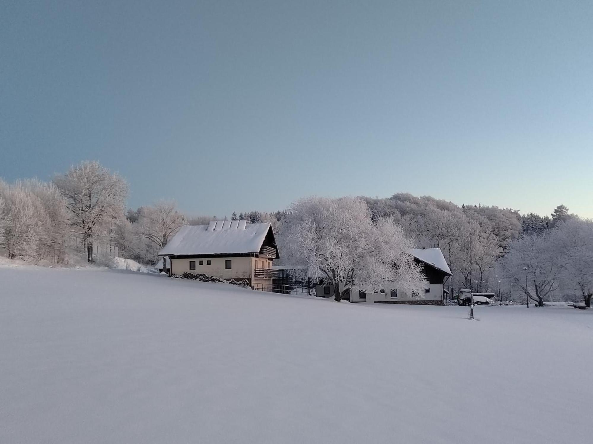 Penzion U Kovare - Vedlejsi Budova Novy Hradek المظهر الخارجي الصورة